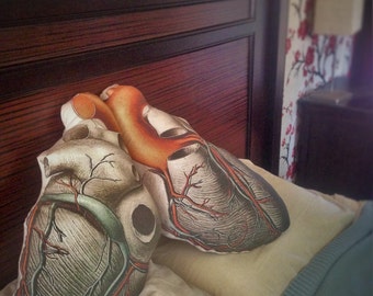 Scientifically Accurate Anatomical Heart Pillow