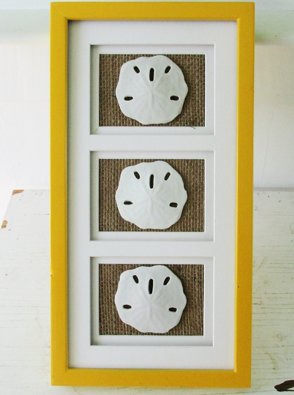 Sand Dollar Frame Sand Dollar Wall Art Coastal Frame