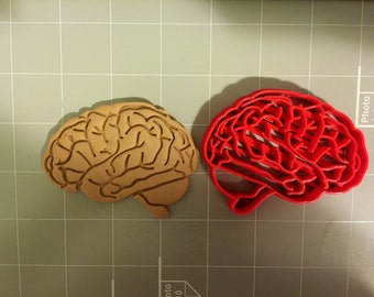 Brain Anatomy Cookie Cutter