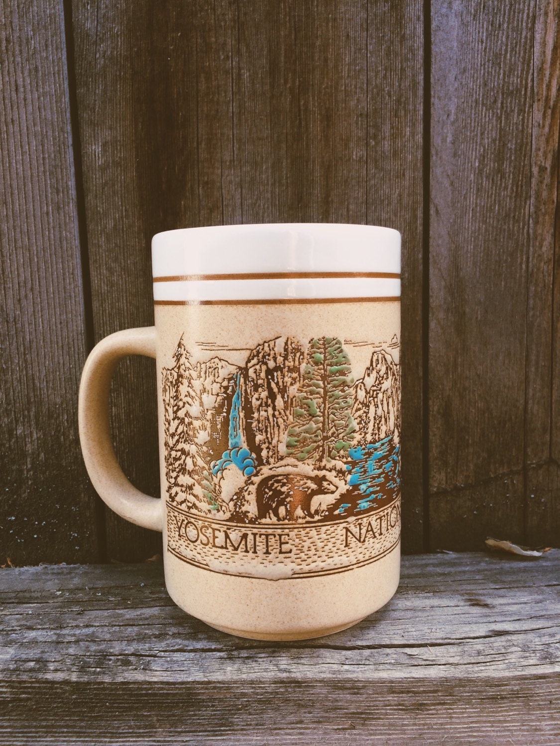 Vintage Yosemite Mug Large