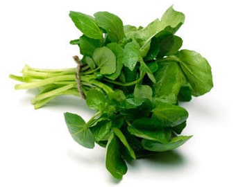 Healing Juices For Treating Anxiety