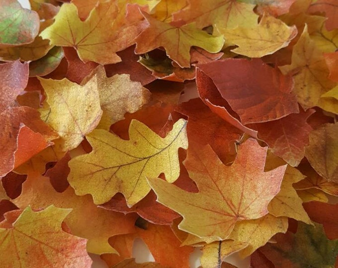 Edible Fall Leaves, Wafer Paper Toppers for Cakes, Cupcakes or Cookies, Wedding Cake Decorations - Color on Both Sides