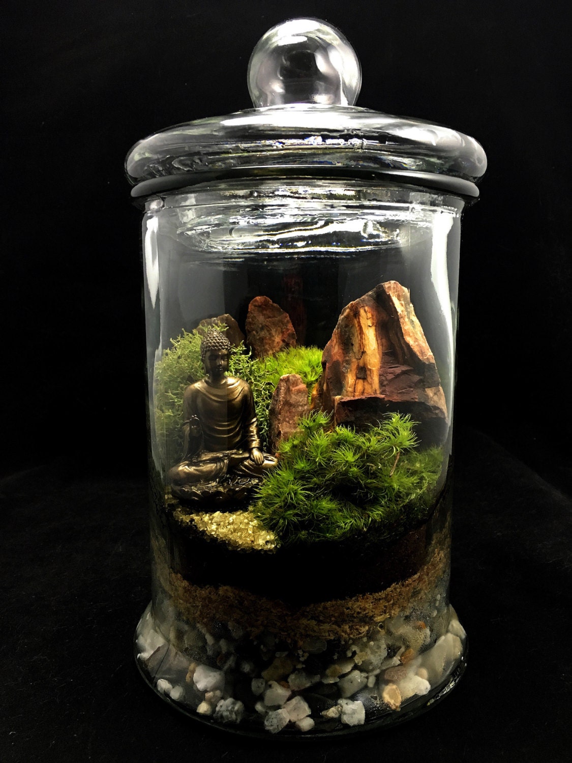 Zen Buddha Moss Terrarium // Terrarium by TerraSphereTerrarium
