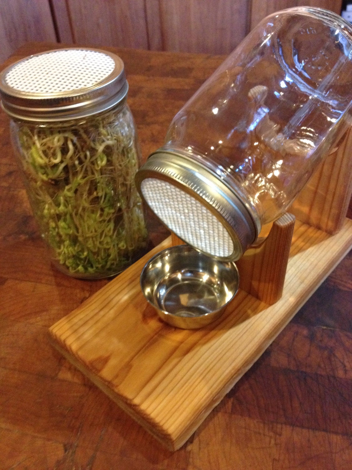 Sprouting Kit with Cedar Wood Stand sprout sprouts