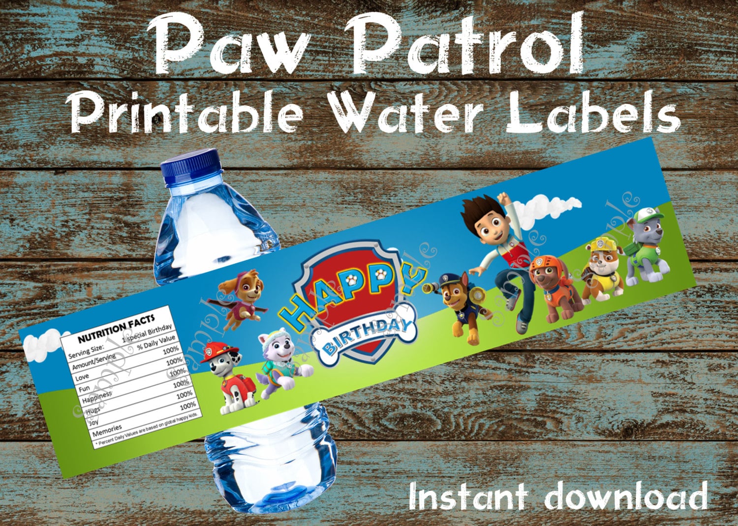 paw patrol in water