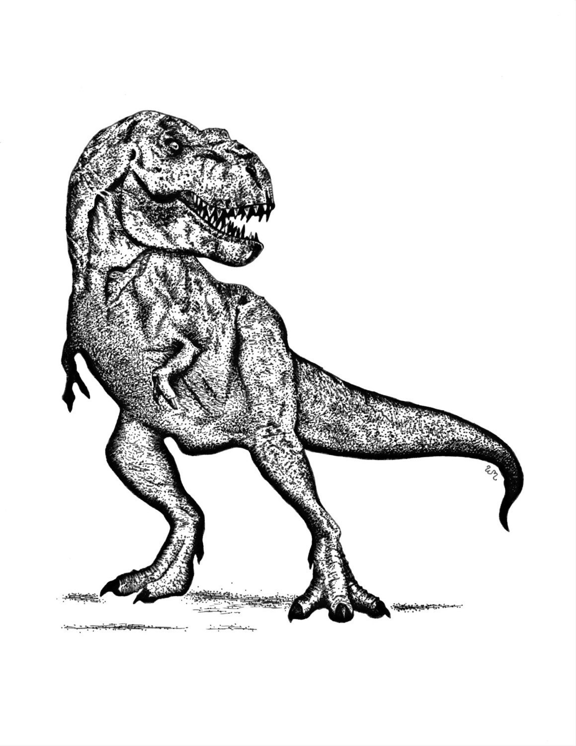 tyrannosaurus rex pictures to print