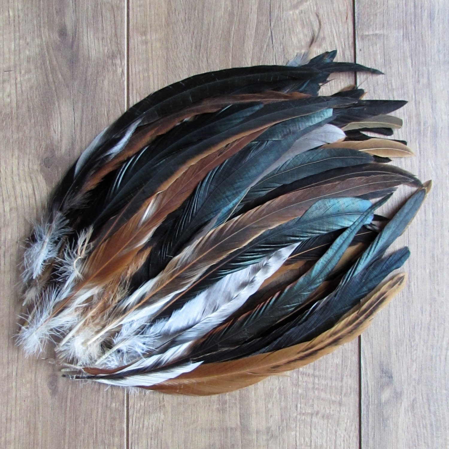 Natural Rooster Tail Feathers 1216