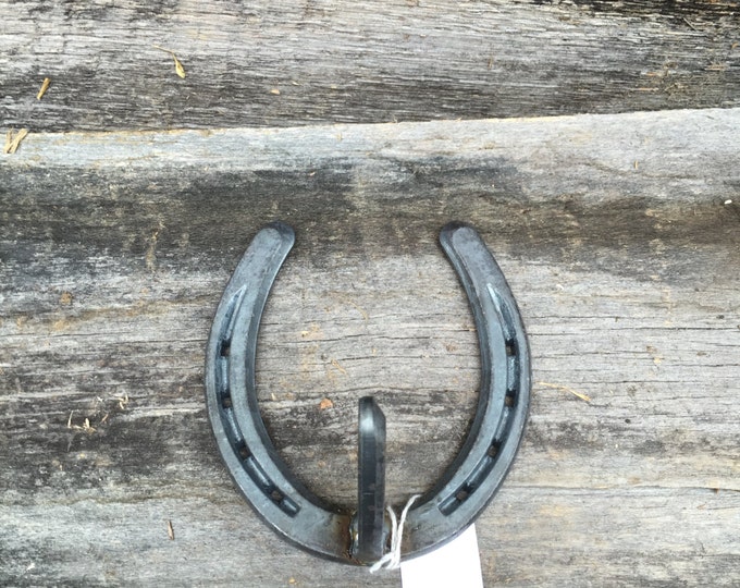 Horseshoe Coat rack /  Horseshoe Coat hanger / Horseshoe hat rack