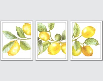 Watercolor Lemon Clip Art Trendy Lemon leaves Clipart Lemons