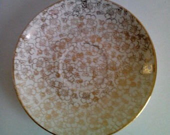 Eggshell Nautilus Etsy 