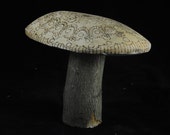 Large Mandala Mushroom...