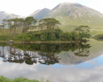 Mists of Avalon (ireland #3)