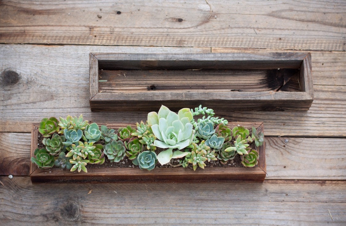 4x18 Succulent Planter Box