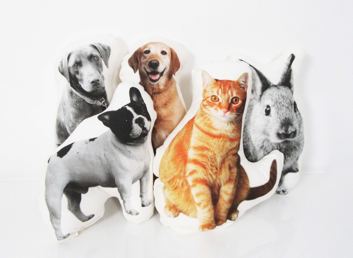 pet portrait pillow