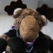 mooseidiot
