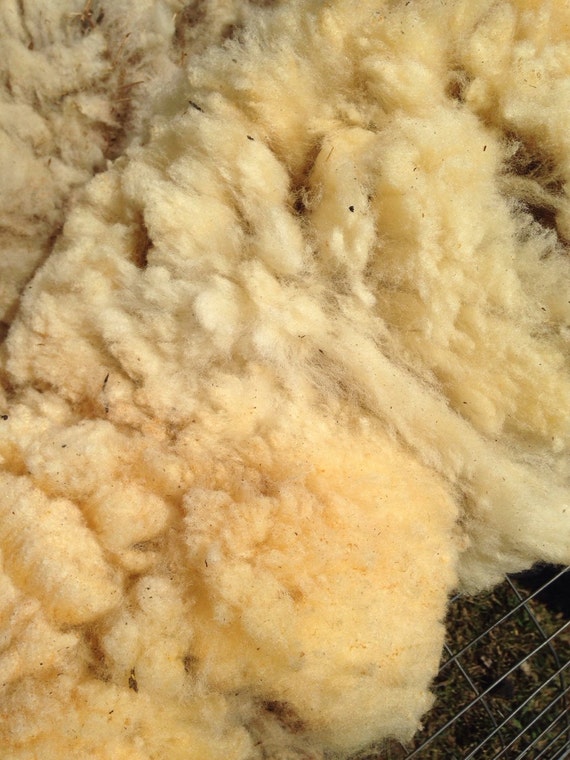 Sale Raw sheep wool for stuffing pincushions 8 ounces
