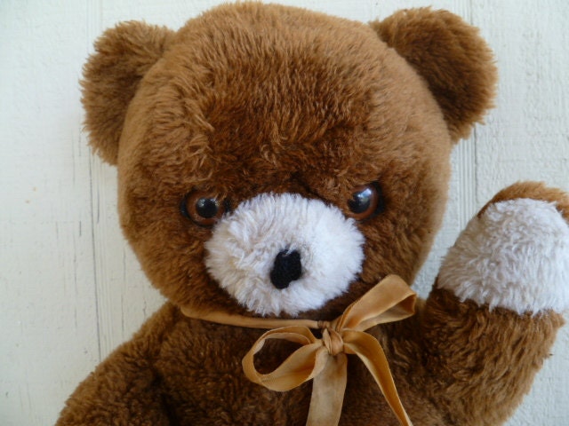 1970 tebro teddy