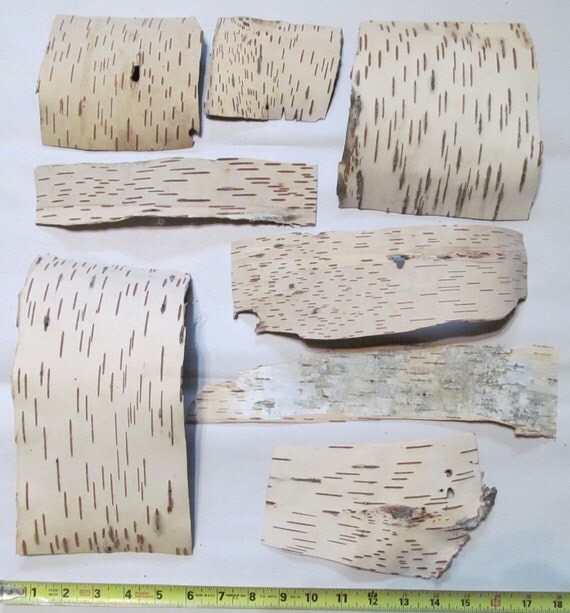 Birch Bark Sheets Scraps Paper Art Craft Supplies DIY Wedding