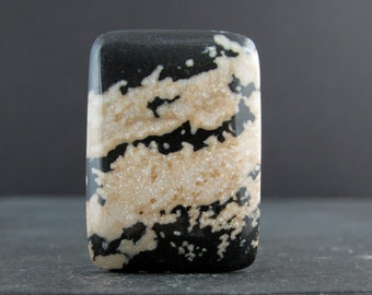 Gorgeous petrified wood cabochon S7070