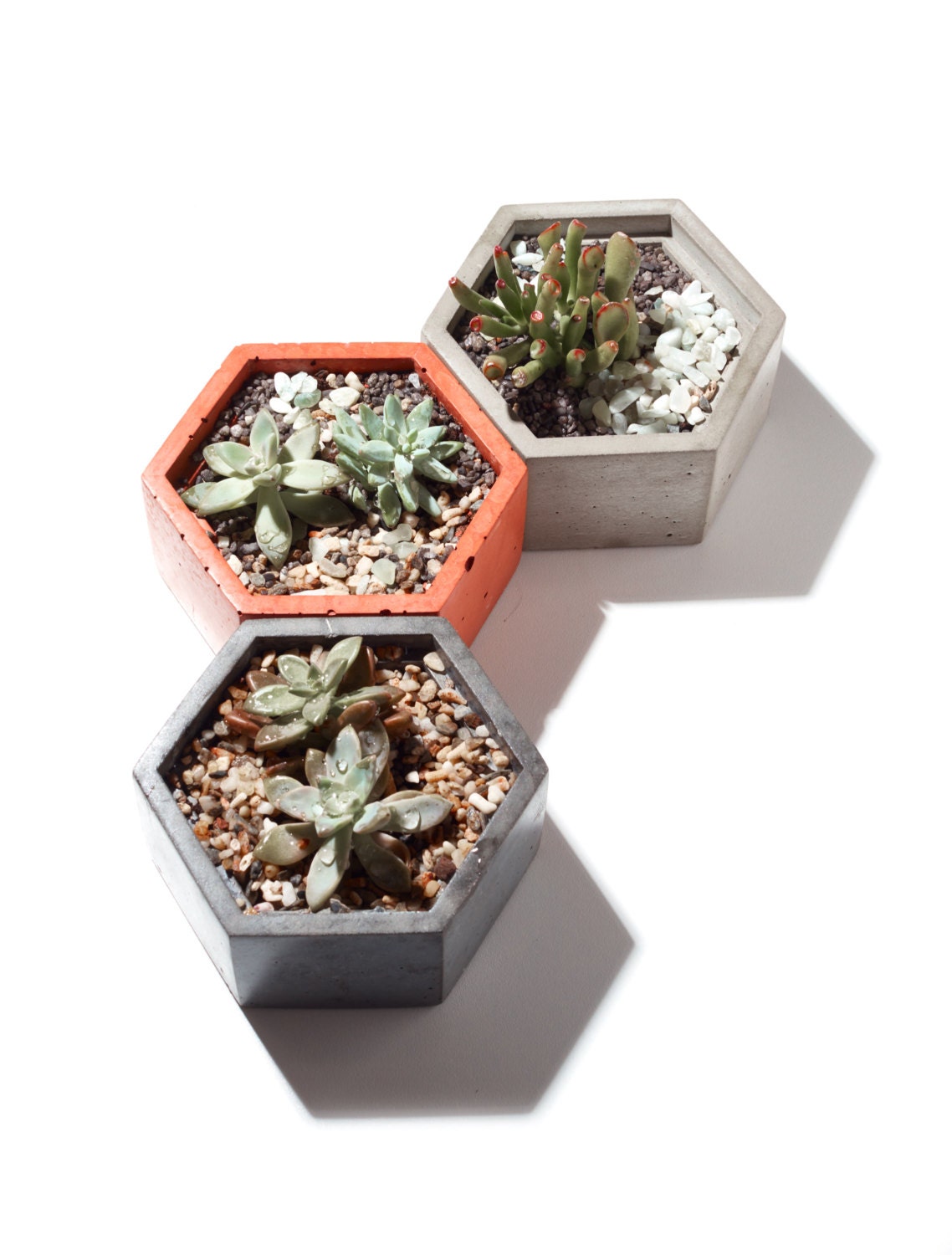 Hex concrete planters/ concrete succulent planters/ planters