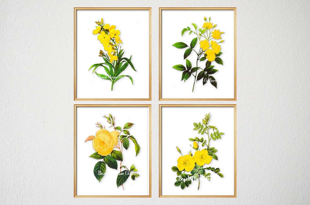 Yellow Flower Wall Art yellow botanical print set of 4 yellow floral prints yellow Yellow Flower Wall Art yellow botanical print set of 4 yellow floral prints yellow