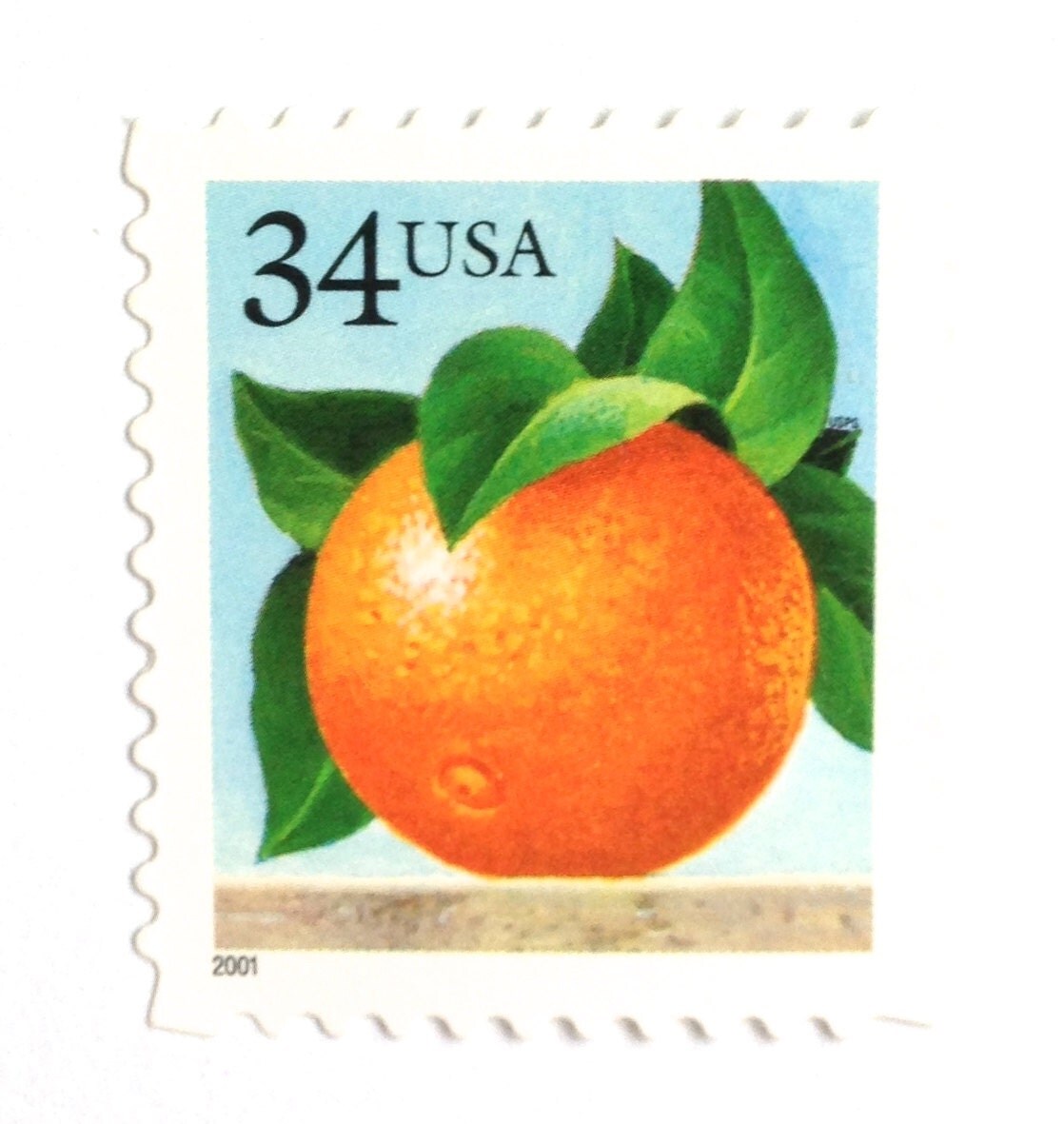 10 Unused Florida Orange Postage Stamps // Vintage Oranges