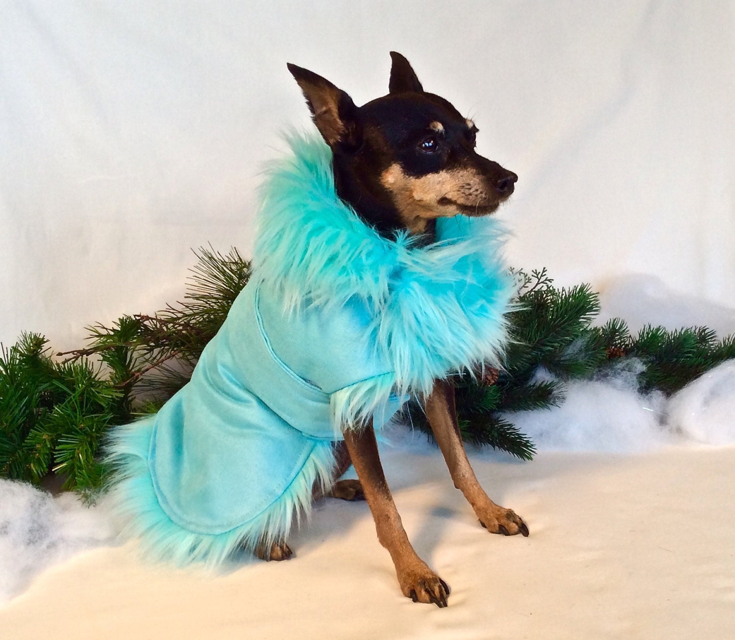 Oprahs Favorite Things 2017 Park Avenue Faux Fur Pet Jacket