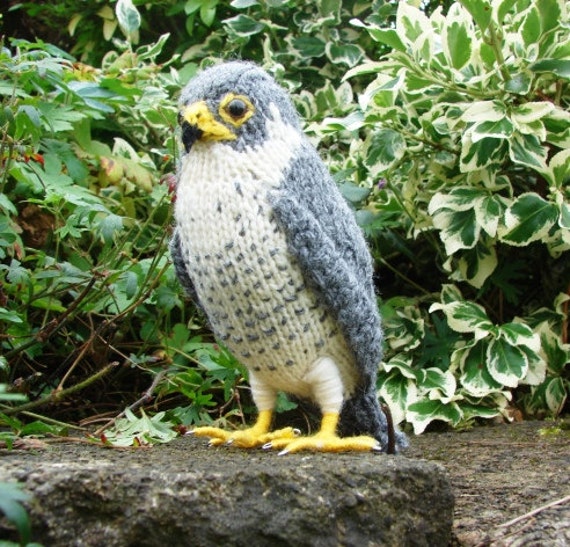 stuffed peregrine falcon