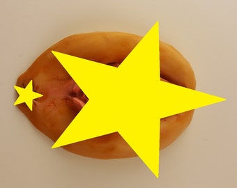 MATURE CONTENT** Vulva without hair
