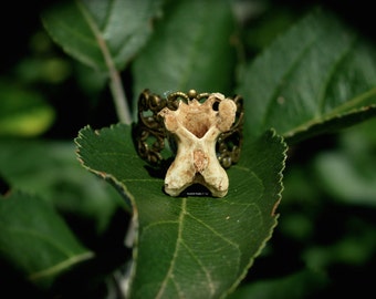 Adjustable Bird Vertebra Ring