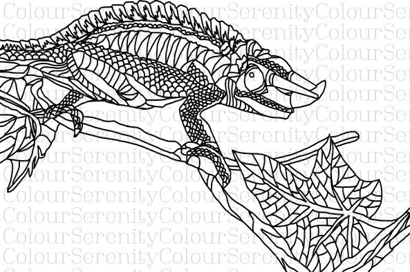 Adult Coloring Page Lizard Printable Instant by ColourSerenity