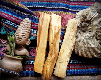 Palo Santo Wood (AA Grade) Holy Wood. Thick Cut (2-3 pc//1 oz/30gm) Calm/Cleanse/Bless. SOUL Retrieval. Native Shaman Ceremony. Wood Incense