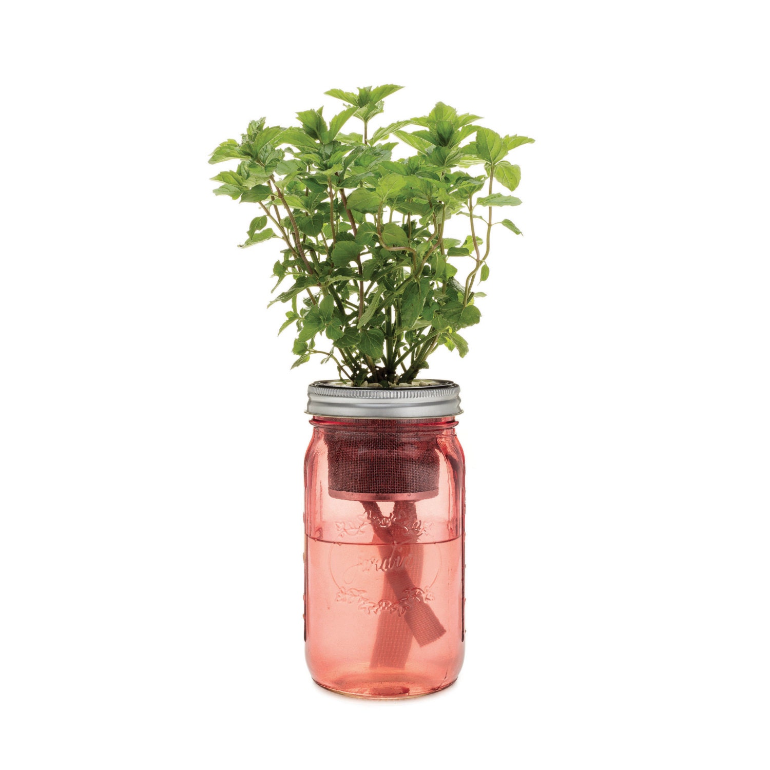 Garden Jars selfwatering planter kits featuring five