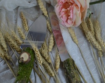 Wood Wedding cake knife set, wood knife set , cake cutting set, rustic wedding ,wedding rustic