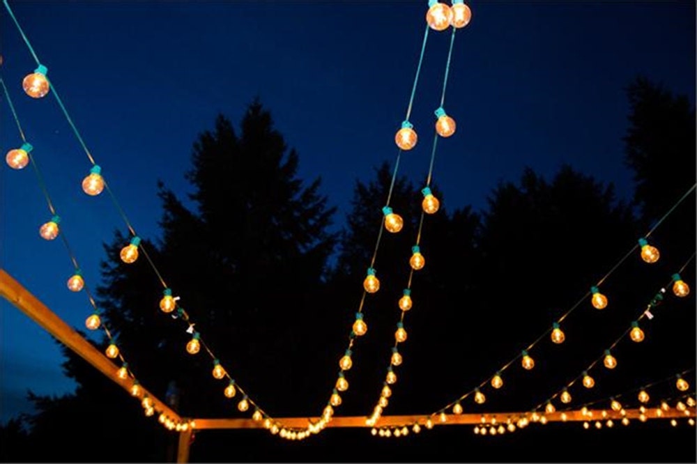 75 ft. Green 25-Socket Globe String Lights With 36 by TaaraBazaar