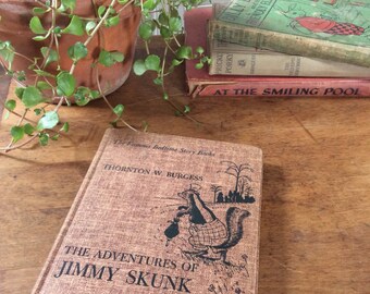 The Adventures of Jimmy Skunk, vintage copy excellent condition