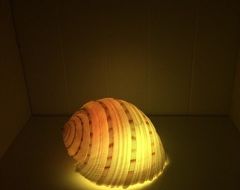 sea lantern lamps