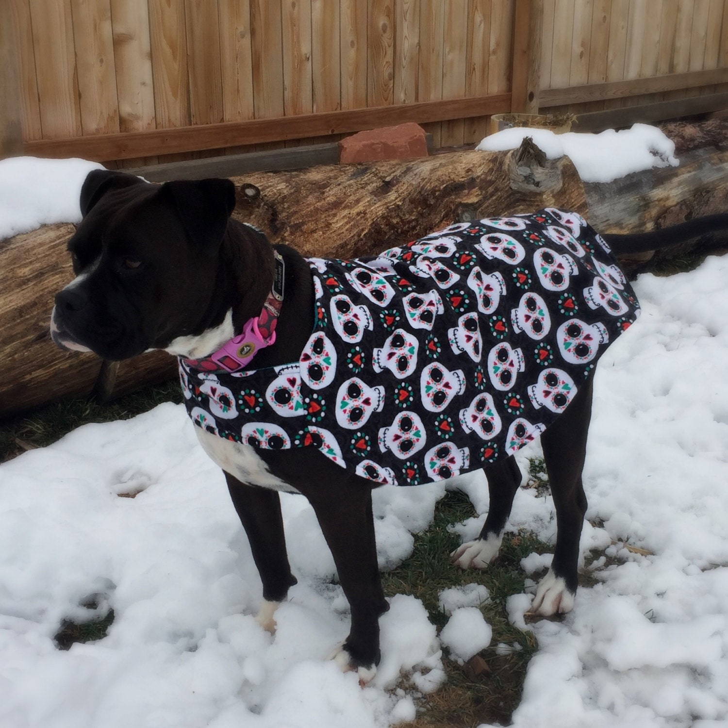 Sugar skull dog coat flannel fleece large breed pit bull boxer