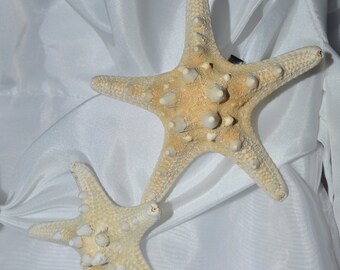 starfish hair clip, mermaid hair clip, beach wedding , hair clip, seashell hair clip, mermaid hair
