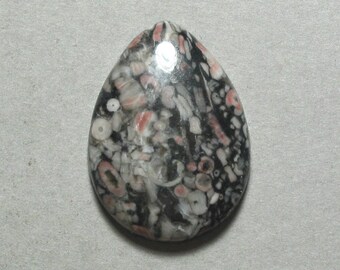 CRINOID FOSSIL agate drop cabochon 22X30mm pear designer cab