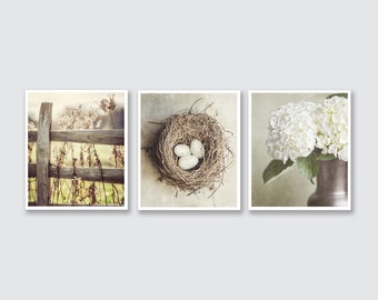 Shabby Chic Home Decor Print or Canvas Art Set, Beige Decor Print Set of 3 Prints, Neutral Wall Art, Cottage Decor Ivory Tan Cream.