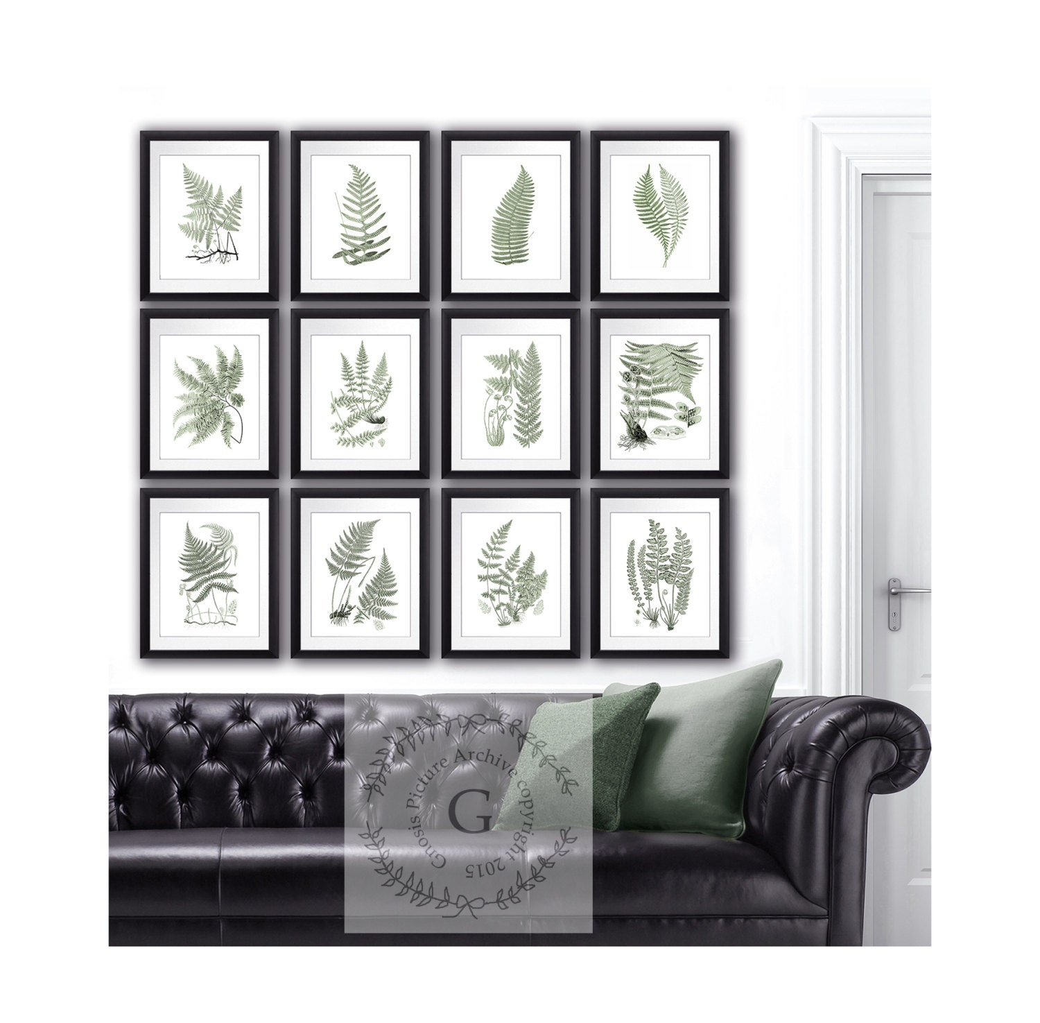 Sage Green Wall Decor Ferns Art Prints set of 12 Botanical