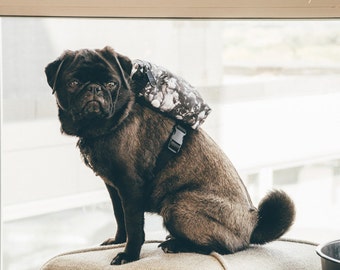 DIY Dog Harness Sewing Pattern and Full Instructions PDF