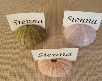 Beach Wedding Name Place Card Holders, Sea Urchin, Beach Wedding Decor, Wedding Table, Beach Decor, Wedding Decor, Shell Place Card Holder
