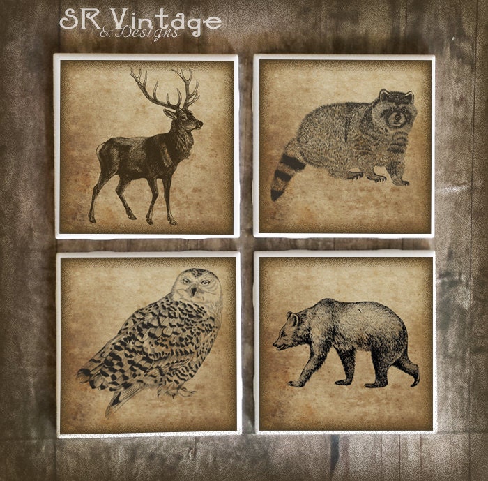 Wildlife Drink Coasters Set of 4 Deer Bear Raccoon by WoodlandCrew