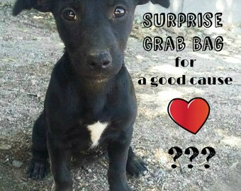 Surprise Grab Bag for Animal Charity / Mystery Bag / Surprise Bag / Gothic Earrings / Gothic Pendant / Gothic Ring / Stocking Stuffer