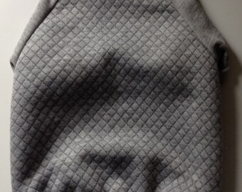 Dog's Raglan Sleeve Sweatshirt.