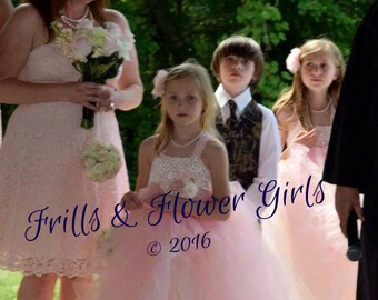 BLUSH Flower Girl Dress Blush Lace Flower Girl Dress Blush Lace Tutu Dress Flower Girl Dress Sizes 18 Mo up to Girls Size 10