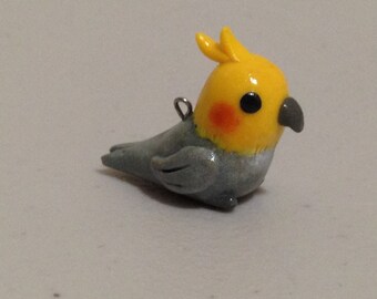 Cockatiel Charm