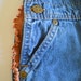 Vintage Cowboy or Cowgirl Oshkosh Overalls with Suede Fringe / Baby Overalls